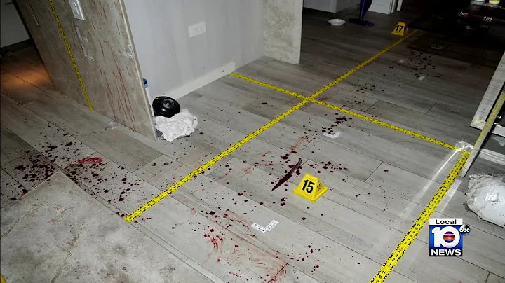 Photos, recordings shed new light into case of Onl...
