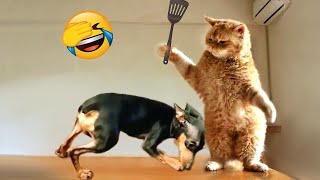 Funniest Animal Moments 2022  Funniest Cats and Dogs  Ep 07 | Cute Buddy