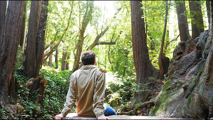 The Shape of the Universe || Breakthrough Junior Challenge 2021