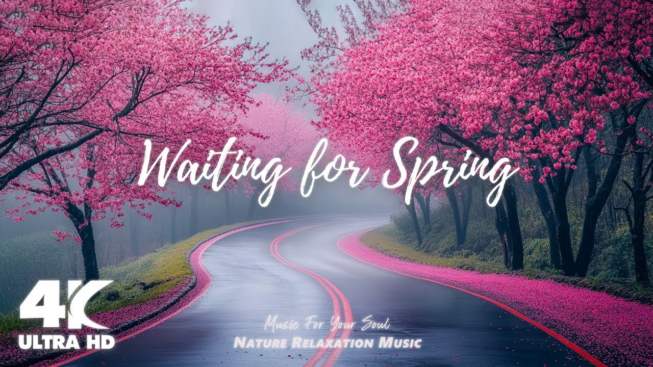 Waiting Spring Waiting for Spring - Nature Relaxation Music - YouTube