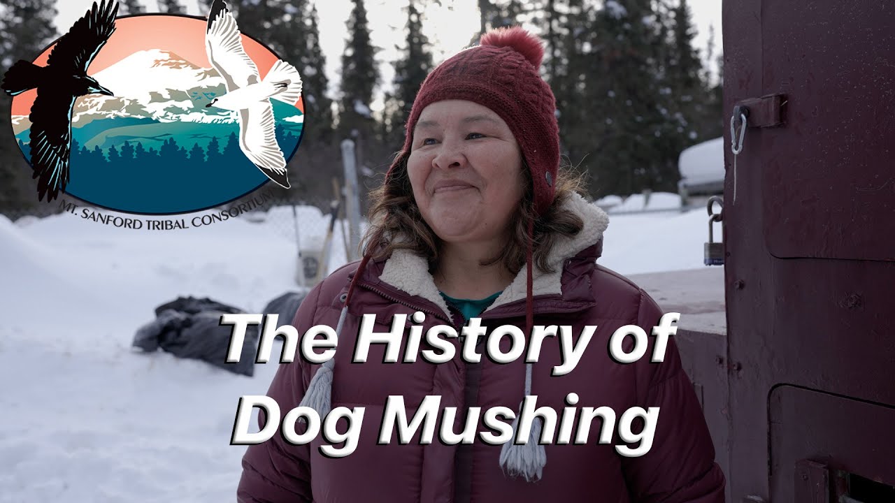 Dogsled Digital Stories The History of Dog Mushing YouTube