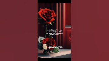 سورة الحج القارئ #ياسر_الدوسري ‎@facts806  ‎islam_sobhi  #فلسطين #السعودية#المغرب#الجزائر#مصر#تونس