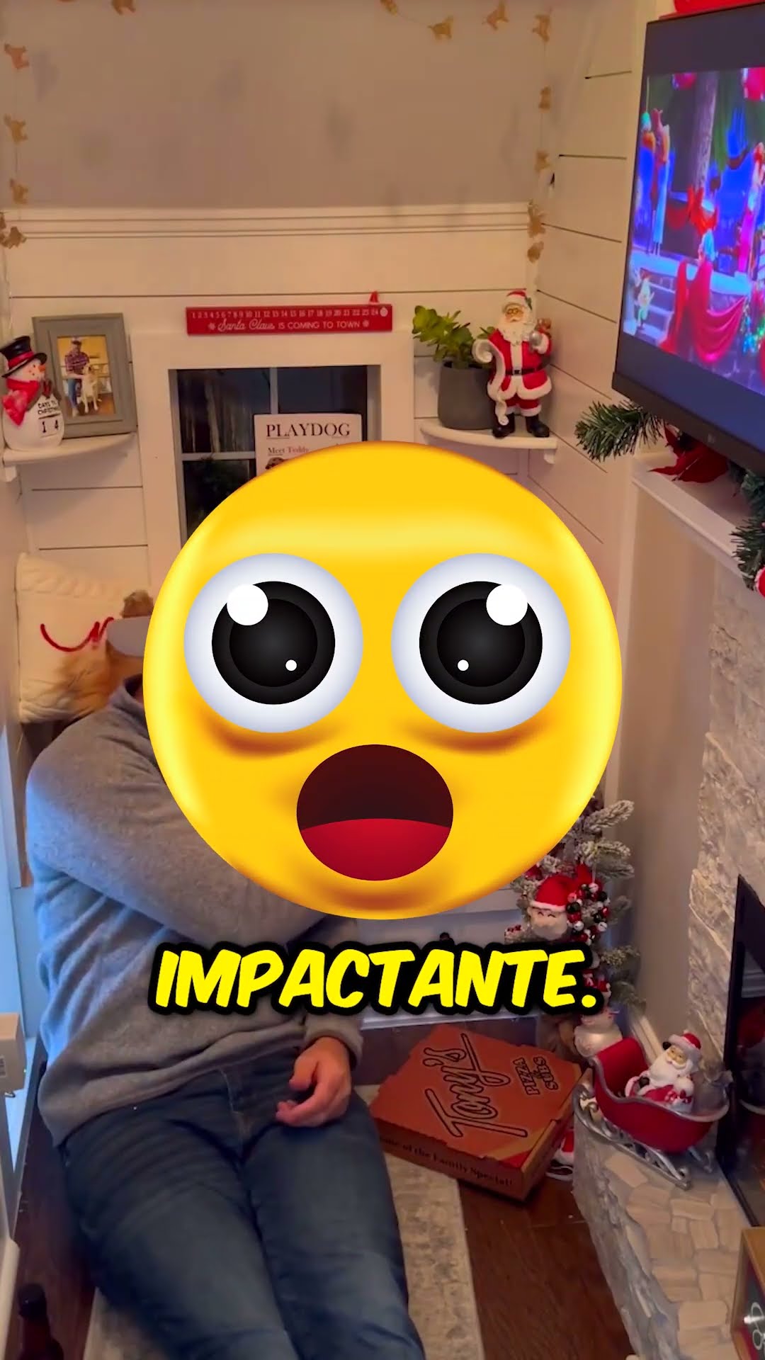 Este tipo construyó una casa para perros escondida en su hogar ?