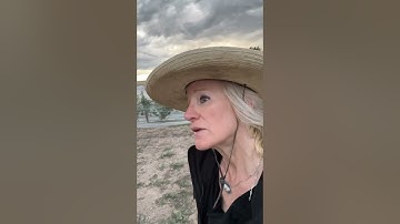 The challenges of Heavy Duty Bee Netting