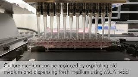 Automated dispensing and medium change of GrowDex 3D cel cultures with Tecan Fluent 780