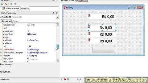 Delphi Substituindo o RXLIB com JVCL p2