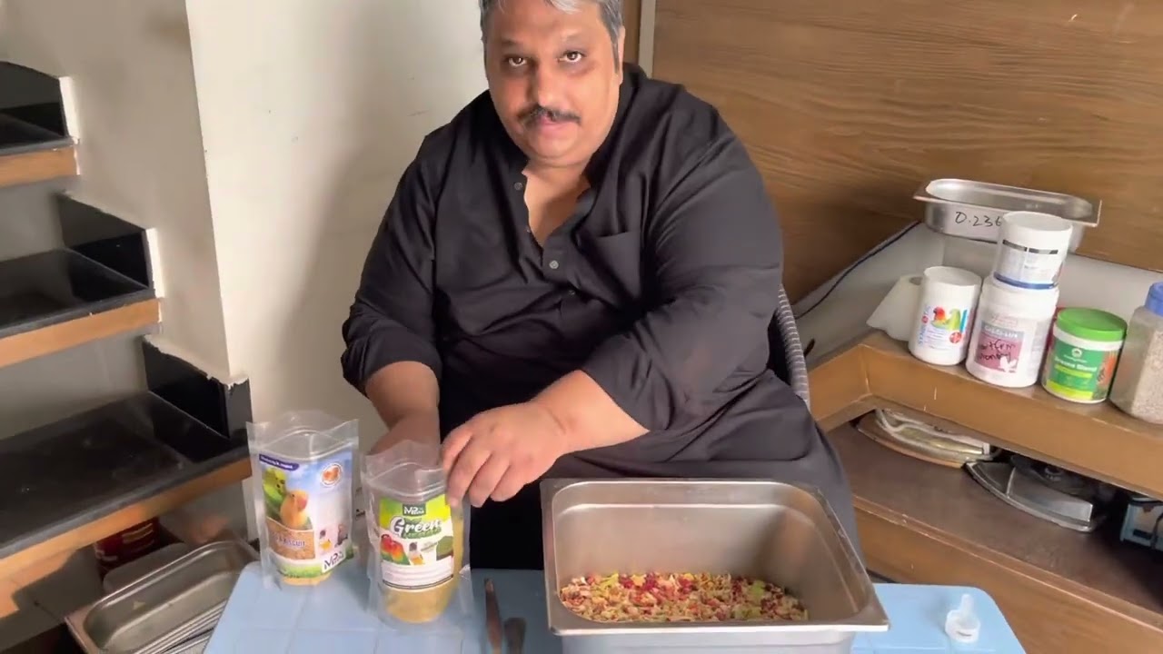 How to Give Soft-Food To Your Love-Birds In Breeding Season Part-1
