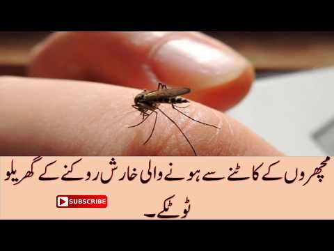 Tips to Reduce itching from Mosquito&rsquo;s bites//مچھروں کے کاٹنے سے ہونے والی خارش روکنا