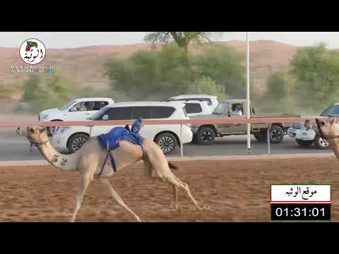 الشوط 9 الوثبة ل سيف مطوع الظاهري 3 3 شارة صندوق الحلفه 2021 8 12 ابوسمره فطامين