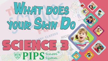 Grade 3 Science Lecture no 1 What does your skin do by PIPS School System Hafizabad
