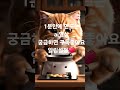 앞치마 두른 고양이, 진짜 요리해요🍳  표정은 진지한데 너무 귀여운 거 아냐?#요리하는고양이 #고양이셰프 #고양이쇼츠#고양이 #귀여운고양이 #요리하는고양이 #고양이영상