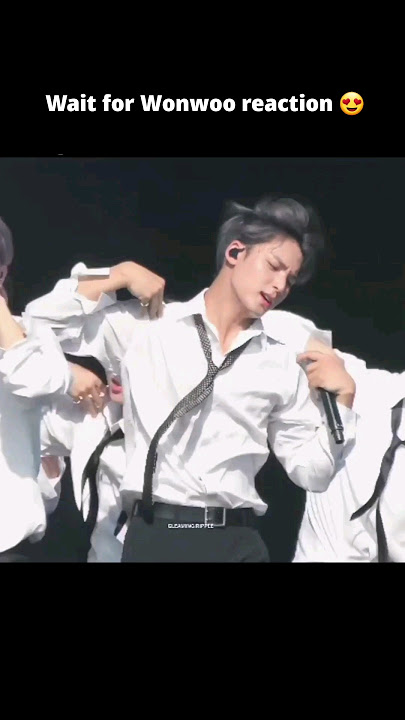 Wonwoo's reaction to Mingyu fancam😄 #seventeen #kpop #carat #meanie