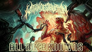 WITHIN DESTRUCTION - REBIRTH (2023) | All Breakdowns