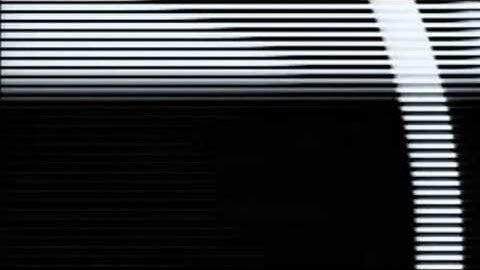 Cybernetics, Self-Regulating Ecosystems & Feedback Loops