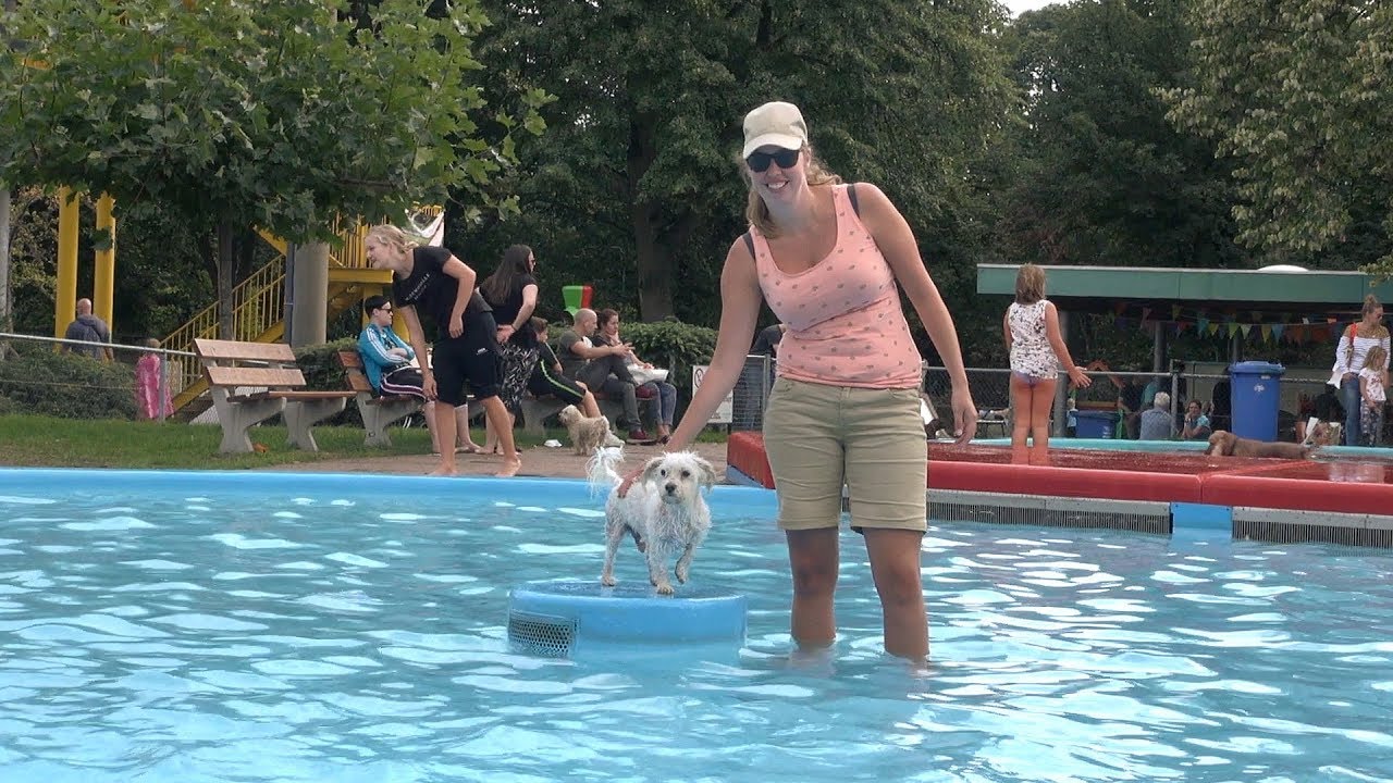 Dog's Plons in Goffertbad