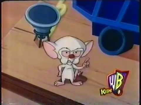 Pinky, Elmyra and the Brain promos