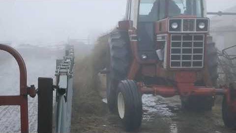 Bunk feeding with a Hustler Chainless 2000, IN
