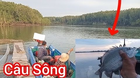 Câu Đêm Sông Thị Vải Câu Cá Tráp và Cá Ngát với Cần Thủ Nữ || Đam mê câu cá