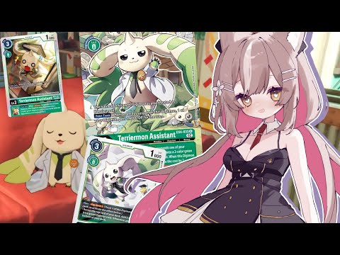 Day 4 of Asking Bandai to Sponsor Dizzy and Me video thumb