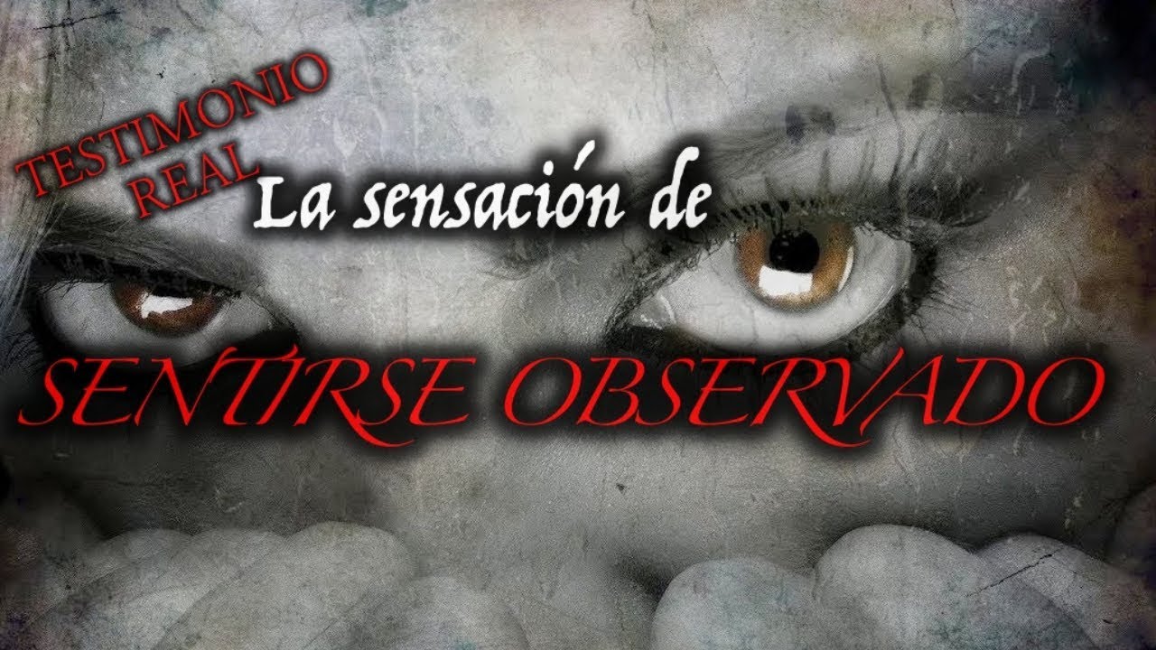 (Testimonio Real) Extraño avistamiento tras sentirse observado