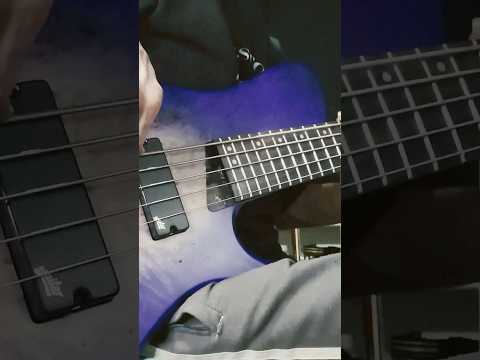 vb Custom basses