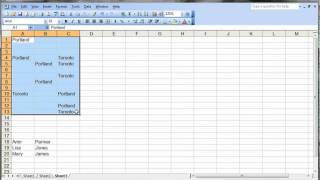 Amazon.co.jp: はじめてのWord&Excel2003基本編WindowsXP版