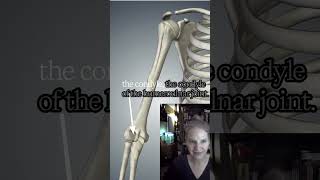Humerus Landmarks You Need for the MBLEx: Tubercles, Tuberosity & Condyles