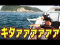 【船釣り】生簀パンパン!!これが入れ食いだ!!