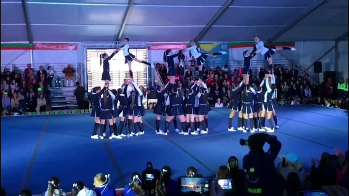 Barras Pureza de Mara FINAL MODERNO 2019