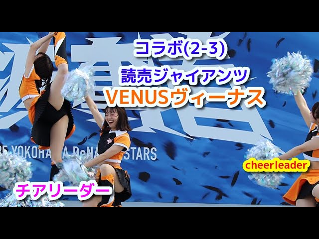 コラボ(2-3) 読売ジャイアンツ VENUSヴィーナス マスコットガール チア