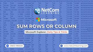Microsoft Explorer: Daily Tips and Tricks - Summing Rows &amp; Columns in Excel
