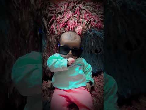 Ll My Cute Baby Lavi Ll Ll Shorts Ll