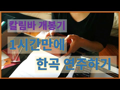 이시영 태교 칼림바 개봉기) 1시간만에 한곡 연주하기