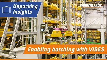 Unpacking Insights: Enabling batching with VIBES