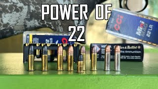 [ChannelMo] Do not underestimate power of .22 long rifle