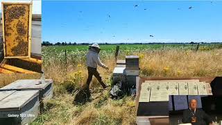 Прокопенко_  Промышленное пчеловодство - путь к Вашей свободе
