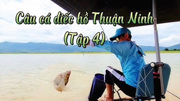 Câu cá diếc hồ Thuận Ninh (Tập 4)/Ổ cá bể, cá lúi phá tan hoang