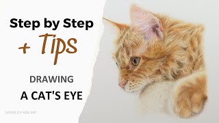 Drawing a realistic Cat's Eye.  Beginner Coloured Pencil Tutorial #petportrait