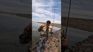Pescando en la presa de valle de Guadalupe jalisco con arreglo texas #pesca #pescador #mrwacky