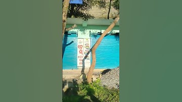 #love #music #lifeisbutadream #lifeisbutadream #musicgenre