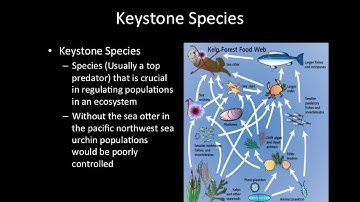 Ecology Notes Part 4