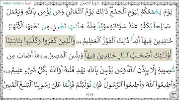 سورةُ التغابن (9 - 12) علي الحذيفي