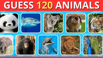Guess 120 Animals in 5 Seconds 🐾 | Ultimate Animal Quiz | Easy, Medium, Hard, Impossible