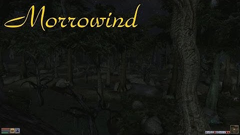 Morrowind #13 | Let