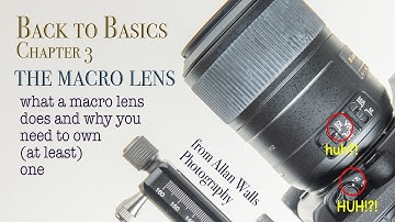 Back to Basics - 3 - What is a macro lens & why do you need one