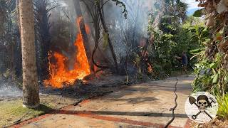 Fire in our Garden | The Plant Pirates