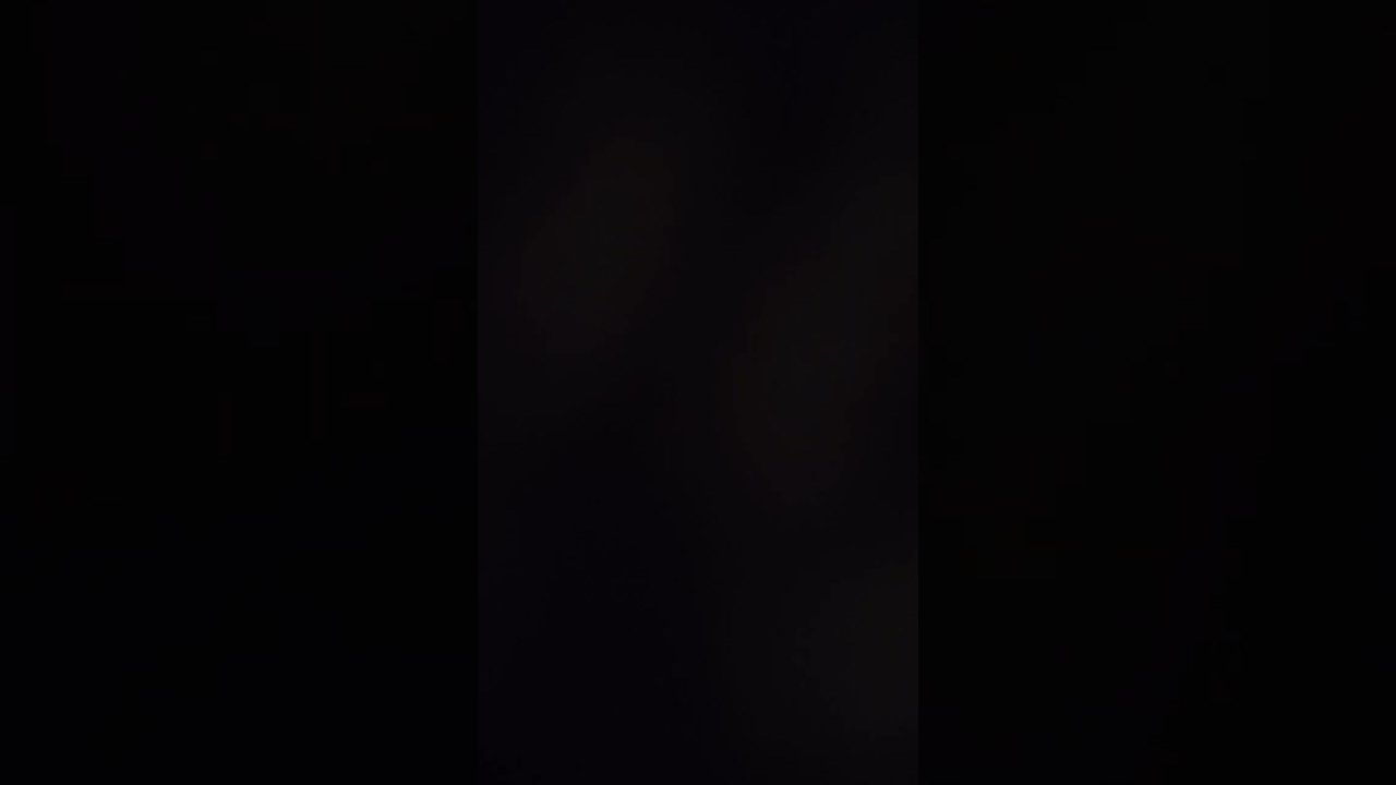 I Landed On Them