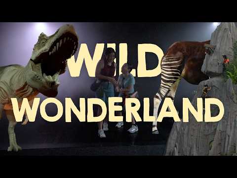 Two friends, one wild adventure | Imagine Wilder Episode 3
