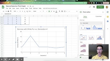 Natural Selection Lab: Graphing Bunnies 🐰