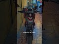 Suzuki raider 150fi | New design #raider150fi #viral